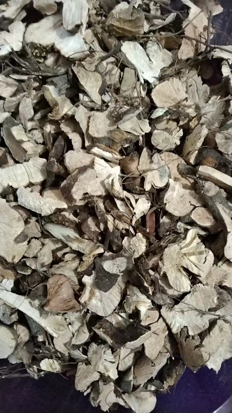 中药材野生金荞麦切片干货金乔麦金荞麦片