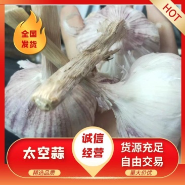 大蒜红皮紫皮精品大蒜市场大蒜蒜米料太空大蒜电商平台金乡