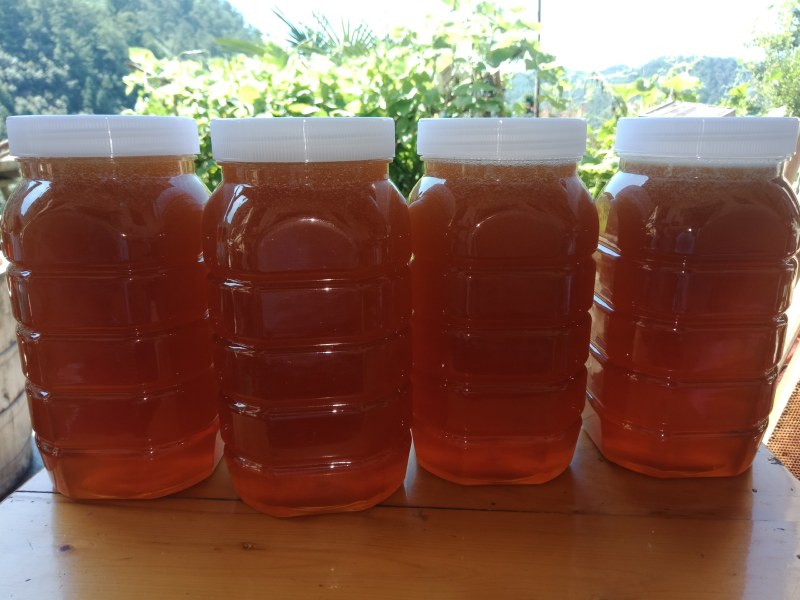 土蜂蜜，皖南深山林下养殖割取的纯正土蜂蜜，欢迎来电采购