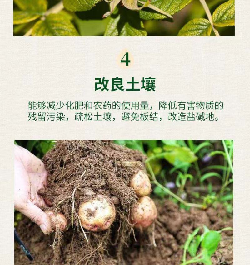 土壤改良调理剂改良土壤盐碱化疏松活化土壤板结免深耕微生物