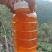土蜂蜜，皖南深山林下养殖割取的纯正土蜂蜜，欢迎来电采购