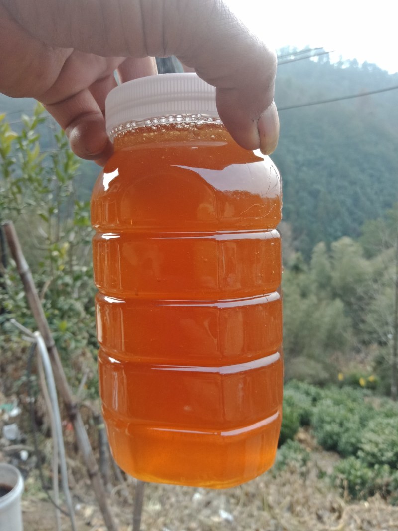 土蜂蜜，皖南深山林下养殖割取的纯正土蜂蜜，欢迎来电采购
