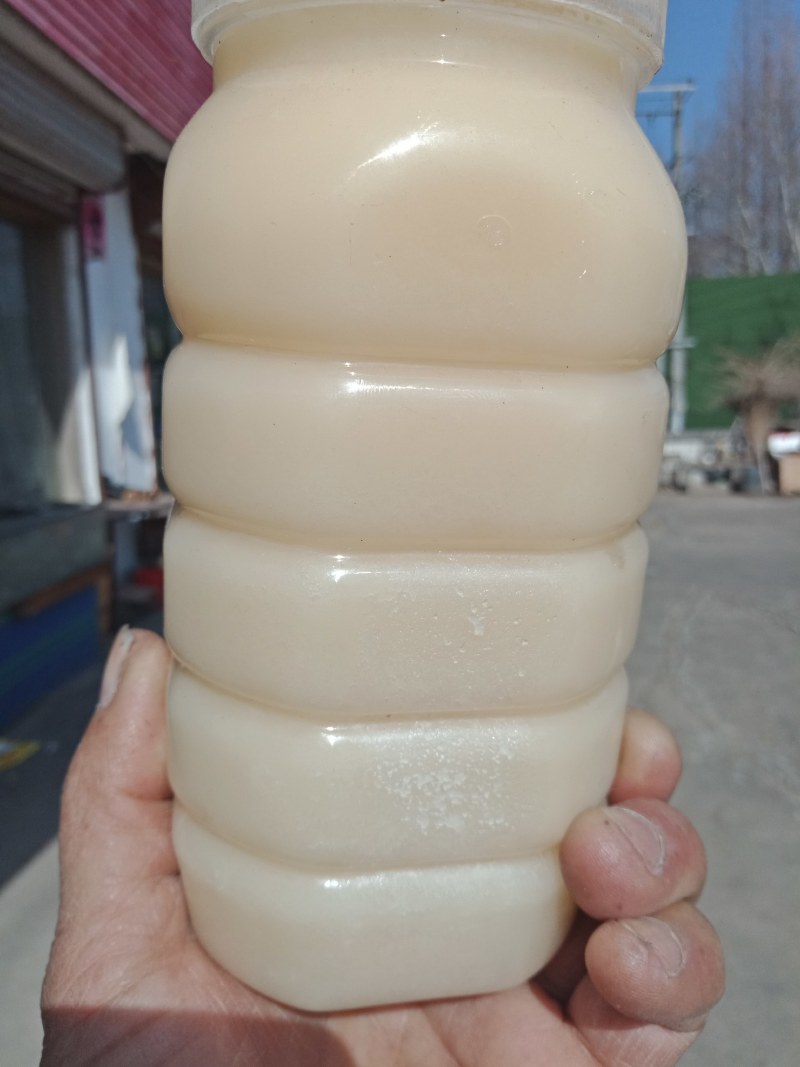 土蜂蜜，皖南深山林下养殖割取的纯正土蜂蜜，欢迎来电采购