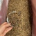 英红九号红茶英德红茶批发价散装金芽