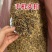 英红九号红茶英德红茶批发价散装金芽