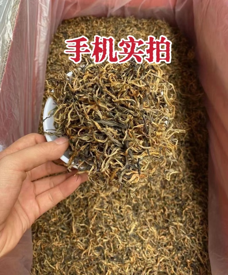 英红九号红茶英德红茶批发价散装金芽