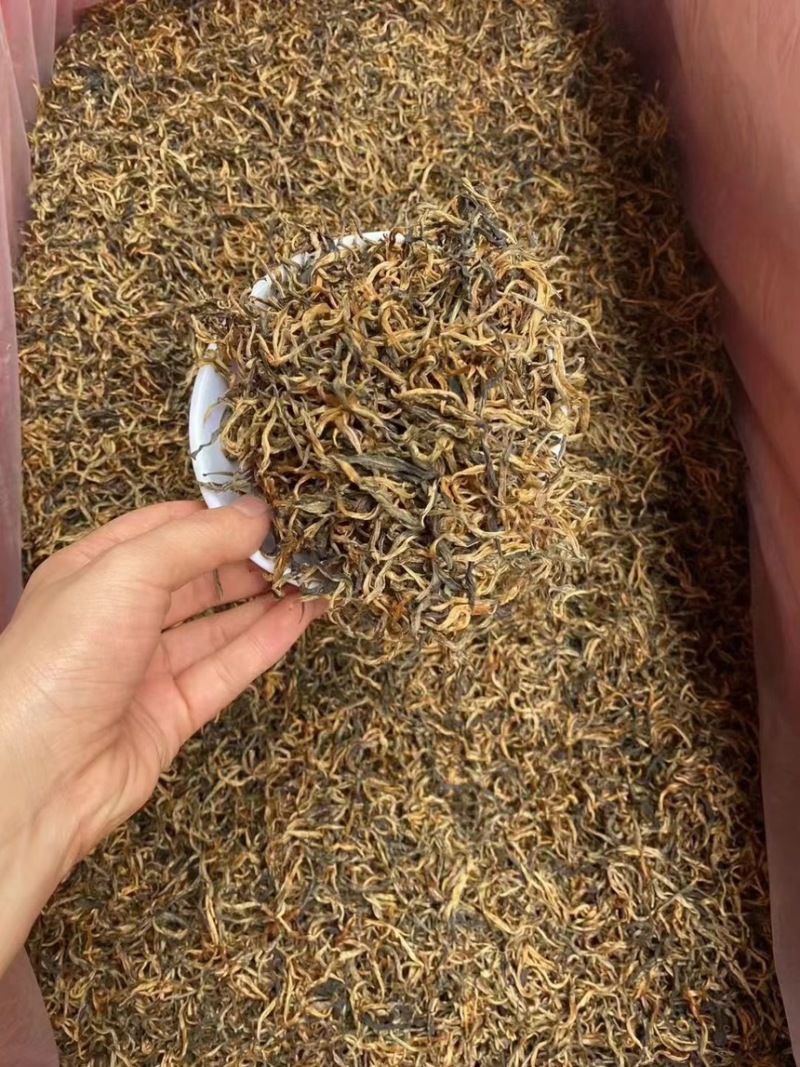 英红九号红茶英德红茶批发价散装金芽