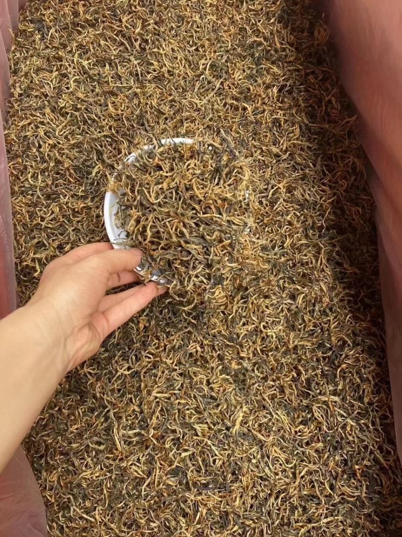 英红九号红茶英德红茶批发价散装金芽