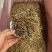 英红九号红茶英德红茶批发价散装金芽