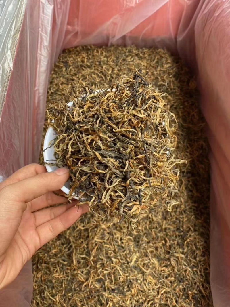 英红九号红茶英德红茶批发价散装金芽
