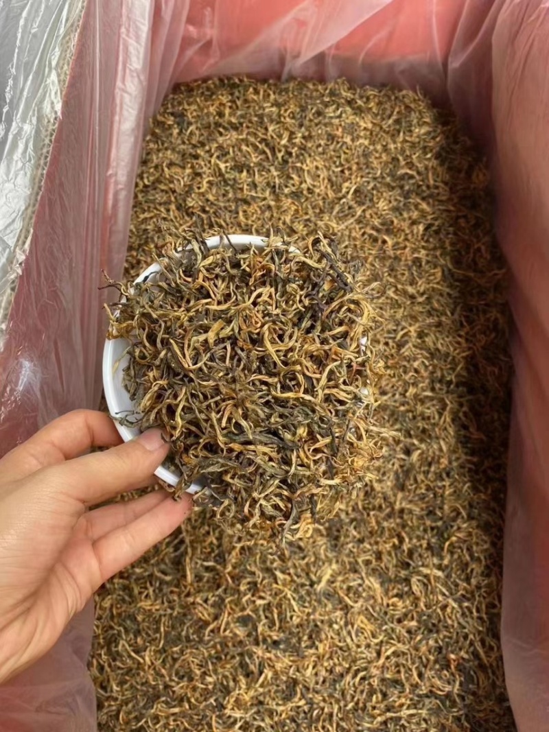 英红九号红茶英德红茶批发价散装金芽