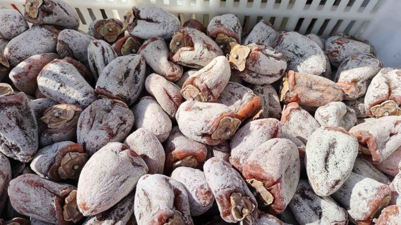 太行山老树吊柿饼黑传统工艺制作自挂霜柿饼