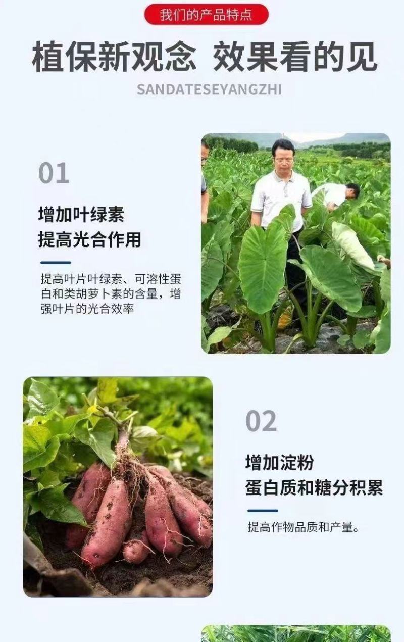 60%氯化胆碱大姜花生山药洋葱红薯土豆地瓜块茎膨大剂根茎