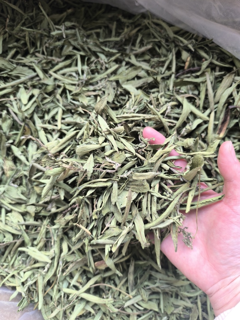 甜叶菊中药材泡水喝花草茶无硫低卡路里味道甜