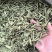 甜叶菊中药材泡水喝花草茶无硫低卡路里味道甜