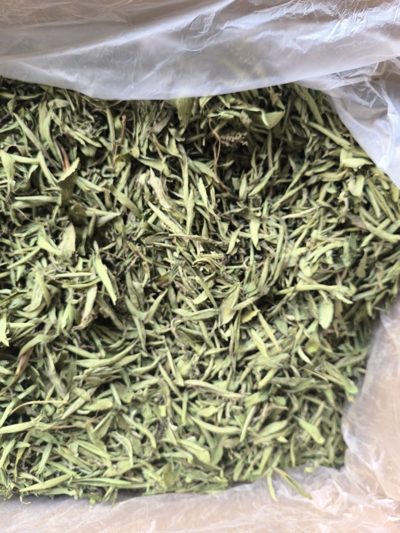 甜叶菊中药材泡水喝花草茶无硫低卡路里味道甜