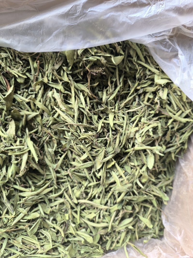 甜叶菊中药材泡水喝花草茶无硫低卡路里味道甜