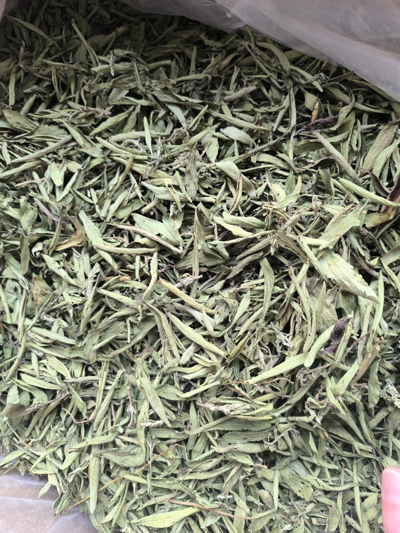 甜叶菊中药材泡水喝花草茶无硫低卡路里味道甜