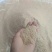 供应大米糠混合糠三七糠油糠壳子糠粉细糠灰糠统糠筛糠稻米糠