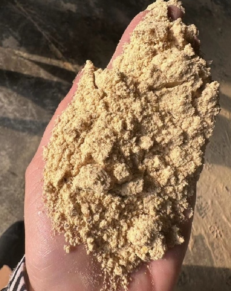 供应大米糠混合糠三七糠油糠壳子糠粉细糠灰糠统糠筛糠稻米糠
