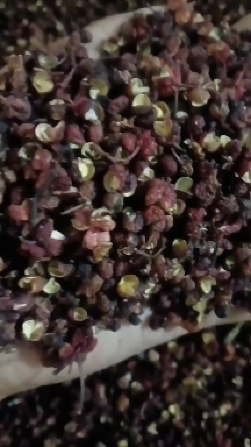干花椒，小米花椒，六月花椒