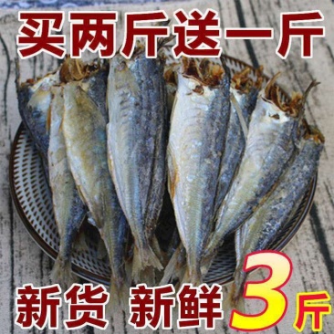 福建霞浦巴浪鱼干无头咸鱼干海干鱼盐海鱼小没头鱼干特产海鲜