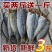 福建霞浦巴浪鱼干无头咸鱼干海干鱼盐海鱼小没头鱼干特产海鲜