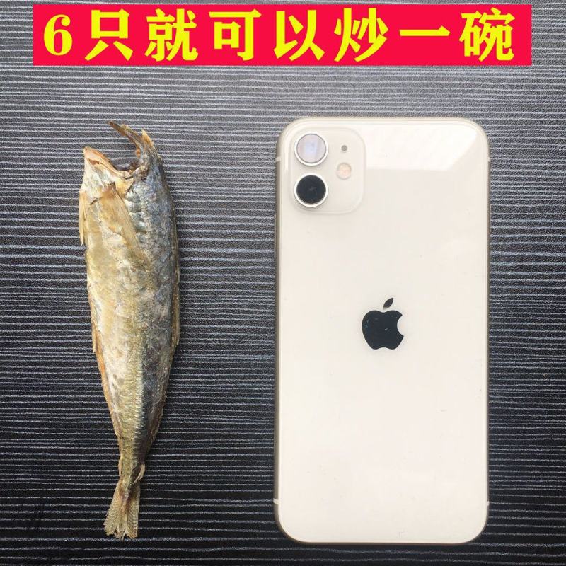 福建霞浦巴浪鱼干无头咸鱼干海干鱼盐海鱼小没头鱼干特产海鲜