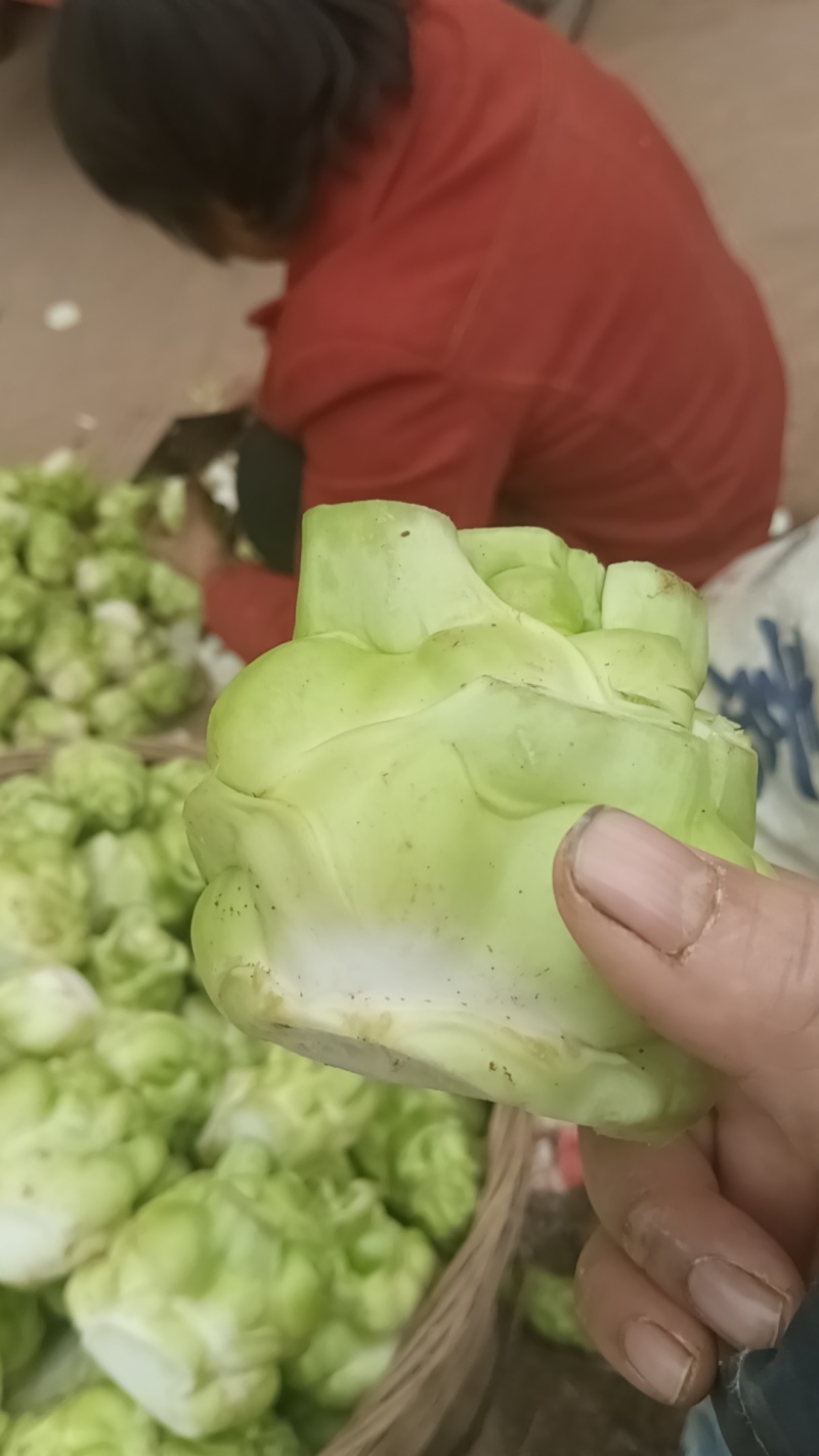四川资阳产地出售榨菜，欢迎大家选购………