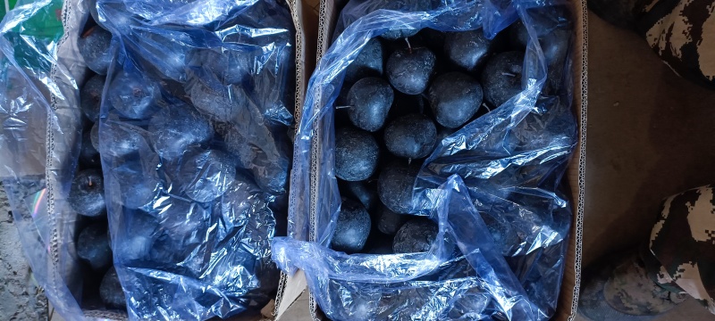 辽宁冻梨颗颗精选好果果形端正个头大入口化渣提供纸箱保鲜袋