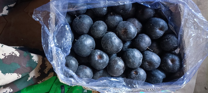 辽宁冻梨颗颗精选好果果形端正个头大入口化渣提供纸箱保鲜袋