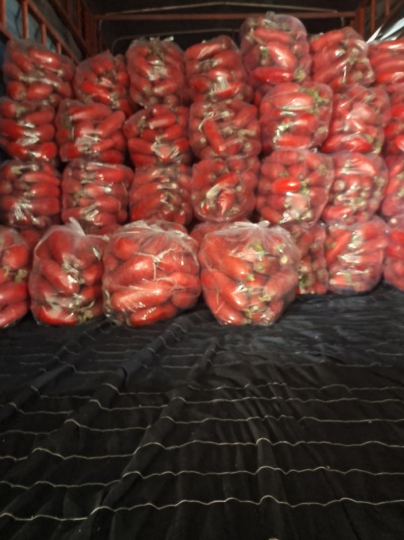 大棚红萝卜上市早条型好颜色亮红皮薄肉白口感很不错