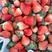 草莓，四川奶油草莓，产地一手货源，价格优惠，欢迎来电咨询