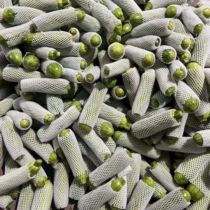云南绿皮西葫芦1斤左右，供应电商，批发市场