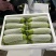 云南绿皮西葫芦1斤左右，供应电商，批发市场