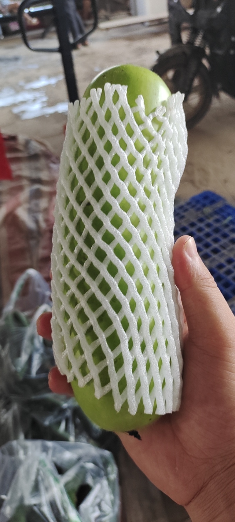 云南绿皮西葫芦1斤左右，供应电商，批发市场
