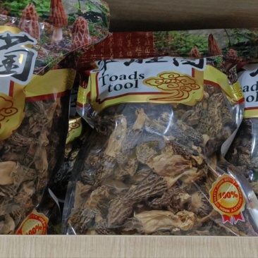 丽江高原羊肚菌，农户种植，价格实惠，供货稳定，诚信经营
