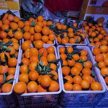 重庆奉节纽荷尔脐橙大量有货，欢迎咨询二级果代办多年