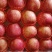 灵宝寺河山纸袋红富士苹果大量有货