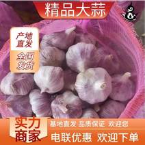 大蒜紫皮蒜金乡大蒜产区直发保质保量实力供应