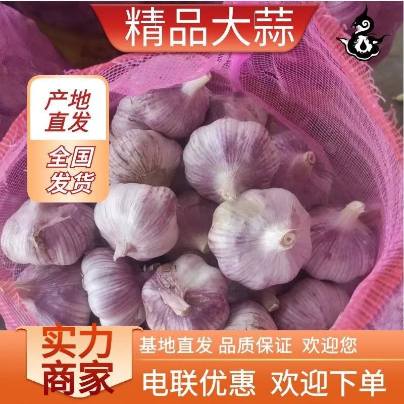 大蒜紫皮蒜金乡大蒜产区直发保质保量实力供应