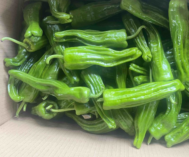 薄皮椒，苏椒，芜湖椒，新优，泡王，泡椒，商超，电商。