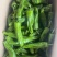 薄皮椒,苏椒,芜湖椒,新优,泡王,泡椒,商超,电商。