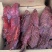 6.7成干成都老厂猪肉大块肉过年卖的很火的大块肉货到满意