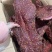 6.7成干成都老厂猪肉大块肉过年卖的很火的大块肉货到满意