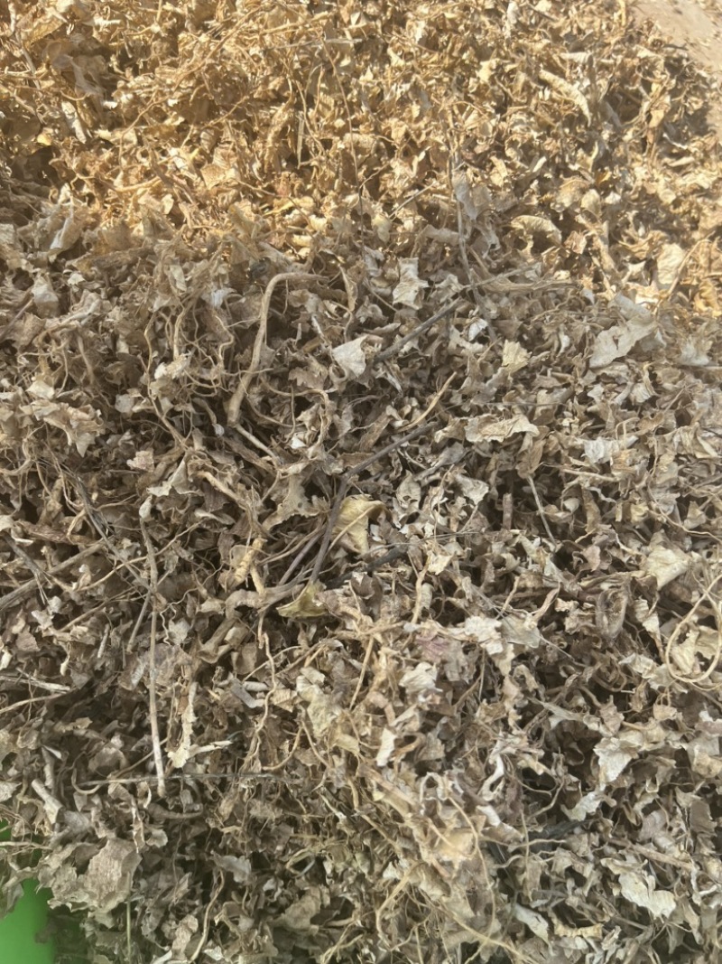 桔梗皮，桔梗须，桔梗药厂投料货出售