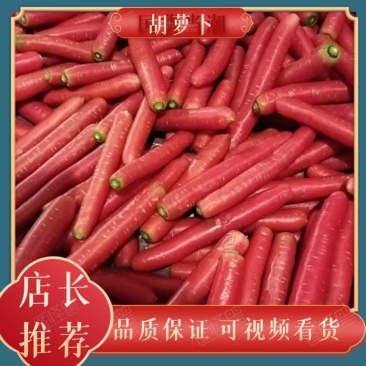实力供货，大荔水洗红萝卜，持续大量供应，
