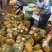 【甄选菠萝】源头货源徐闻菠萝香水菠萝凤梨市场商超电商