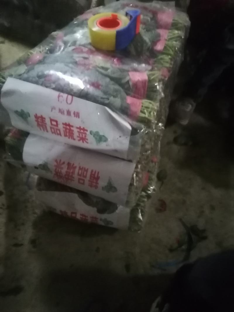 乐奇原产地大叶菠菜直供处！一线采购员