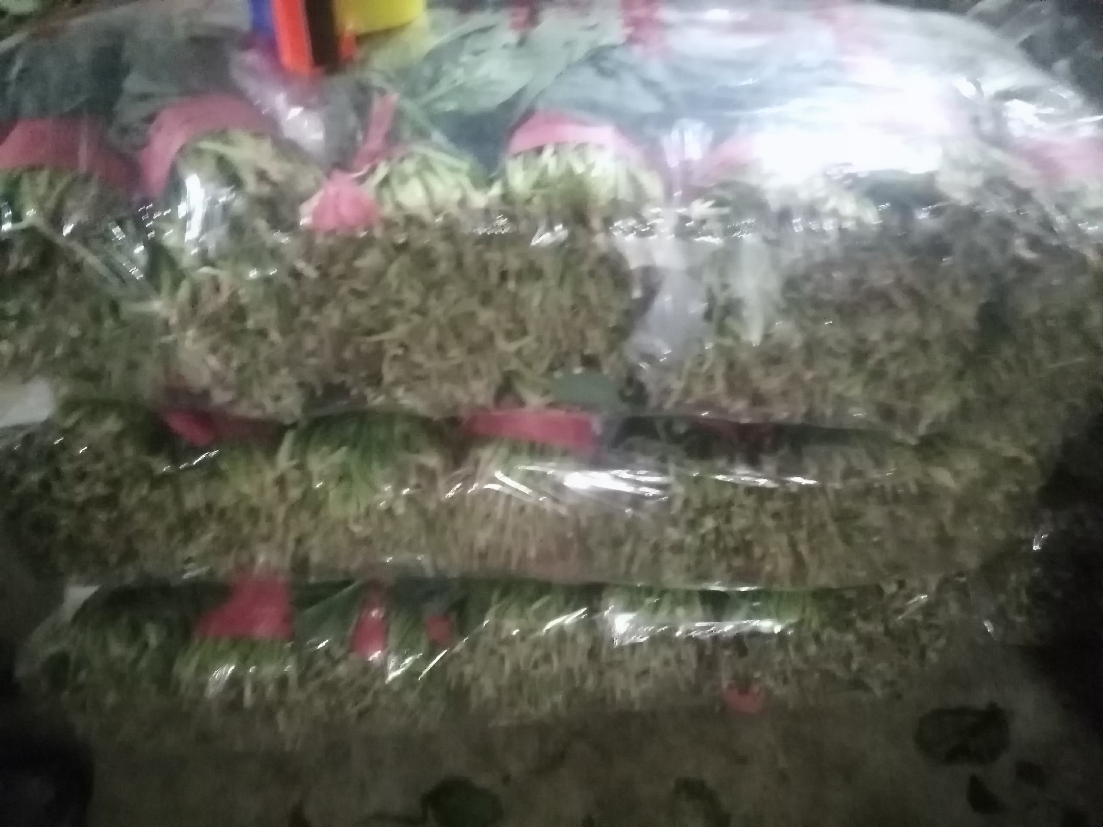 大叶菠菜焯水过程示意图